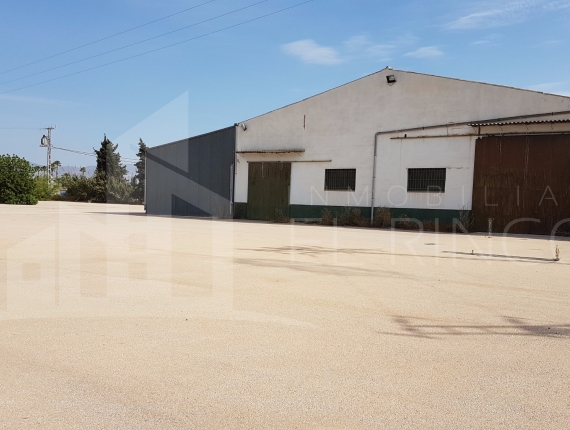 Industrial unit - Resale - Catral - Catral