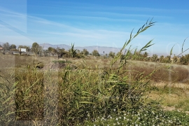 Segunda Mano - Terreno rustico - San Felipe Neri