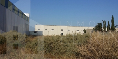 Industrial land - Resale - Callosa de Segura - Callosa de Segura