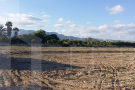 Resale - Rustic land - Crevillente