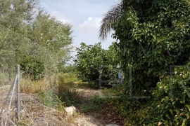Segunda Mano - Casa de campo - Catral