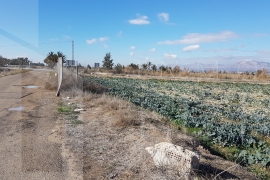 Long term Rent - Rustic land - San Felipe Neri