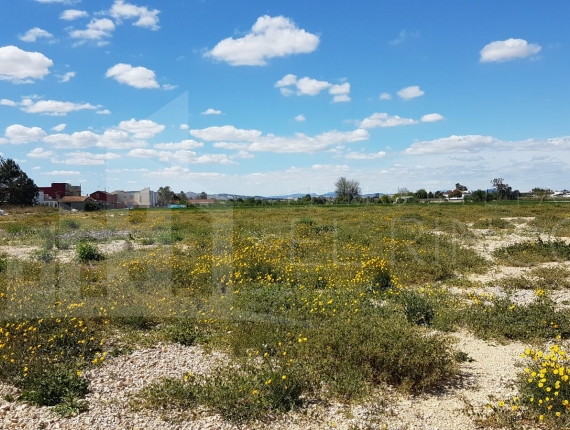 Rustic land - Resale - Dolores - DOLORES