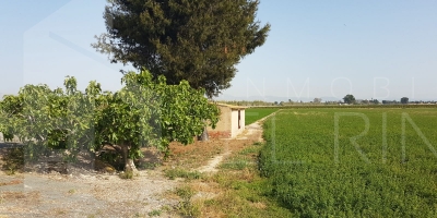 Rustic land - Resale - Dolores - DOLORES