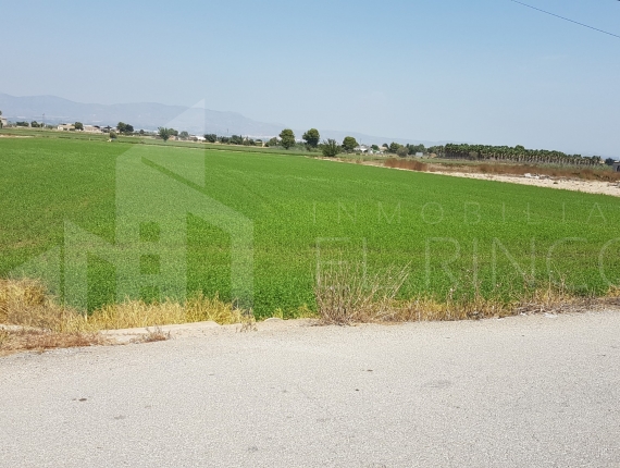 Rustic land - Resale - Dolores - DOLORES