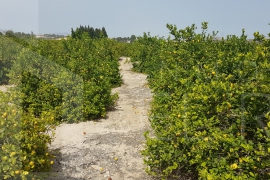 D´occasion - Villa - Orihuela - Matanza