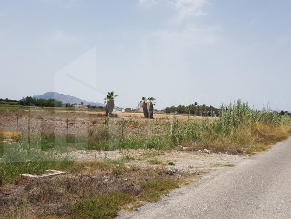 Rustic land - Resale - Catral - Catral