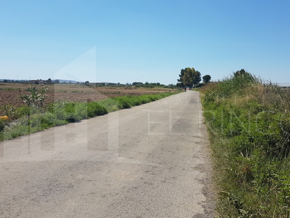 Rustic land - Resale - Catral - Arroba Mardriguerra