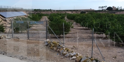 Finca - Segunda Mano - Orihuela - La Murada