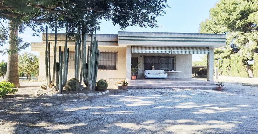 Segunda Mano - Casa de campo - Elche - La Hoya