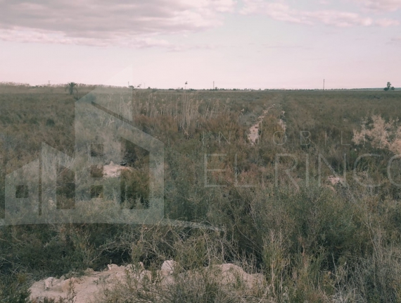 Rustic land - Resale - Crevillente - Realengo